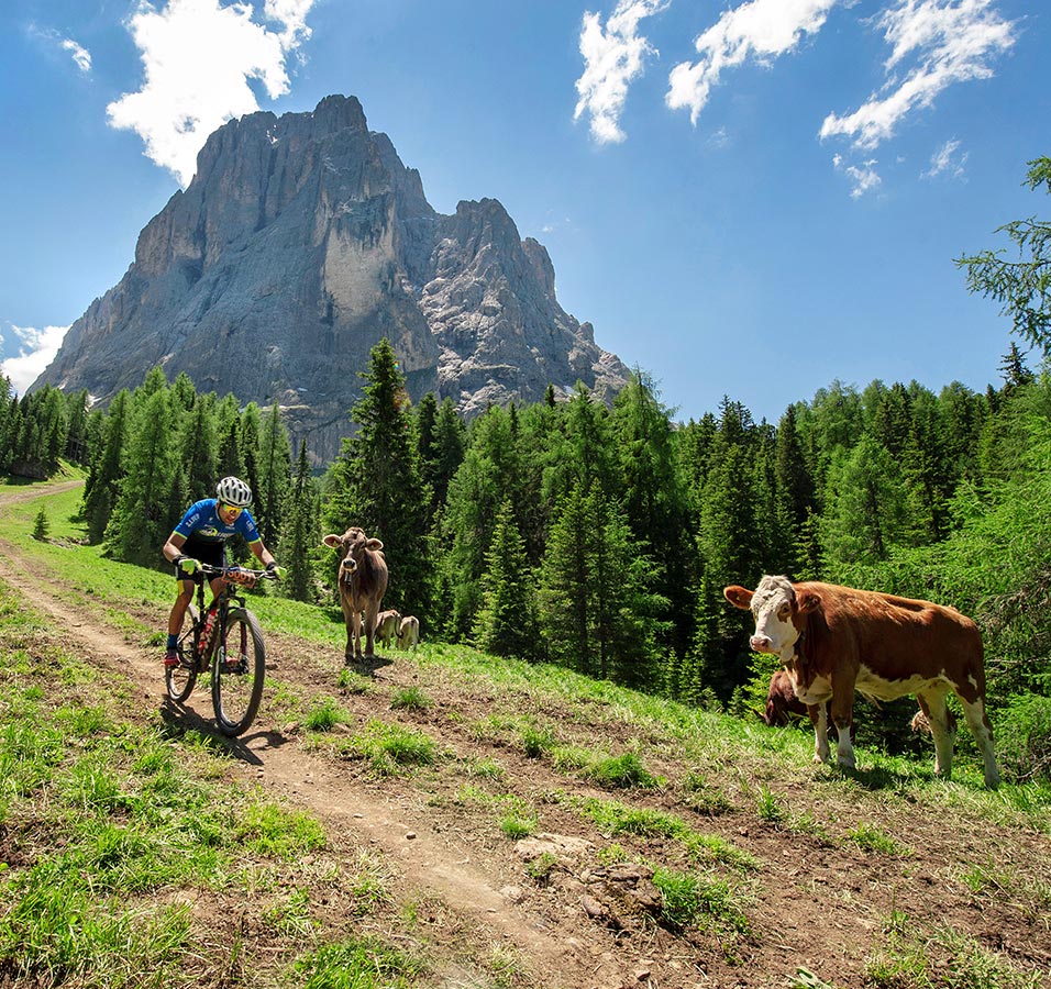 Plancker - A Sosta Urlaub